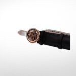 PATEK PHILIPPE SKY MOON TOURBILLON 502P TOURBILLON - Image 8