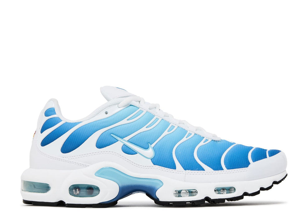 IMG_2991 Air Max Plus TN - T726424 - Image 1